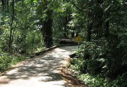 Tualatin Hills Nature Park