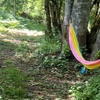Image 3: Farm Day Passes & Memberships: Nature, Animals & Wellness Activities
