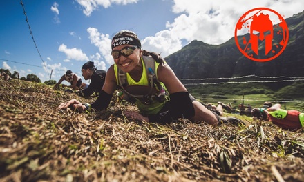 Entry to Any Spartan Sprint/Stadion Event in 2027 - Spartan Race