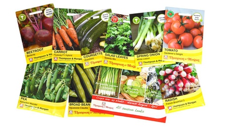 B&Q -  Mixed Flower & Vegetable Seed Bundle50 Packets (Contains 25 Each Of Flower Seed Packets And Vegetable Seed Packets) - Image 2