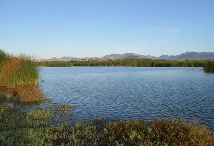 Estero San Jose (San Jose Estuary)