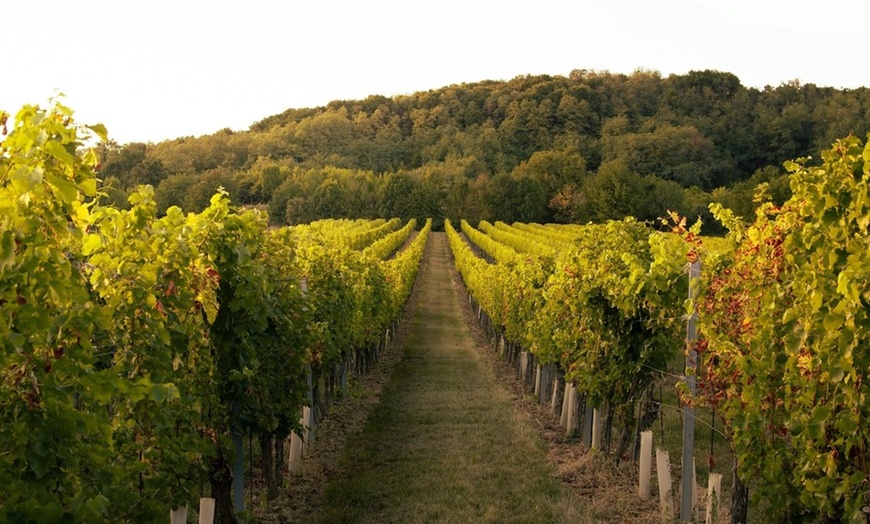 Image 2: Up to 45% Off Admission to Hudson Valley Wine & Food Festival 
