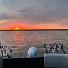 Image 4: Guided Fishing & Boating Tours on Cherry Creek Reservoir, Denver