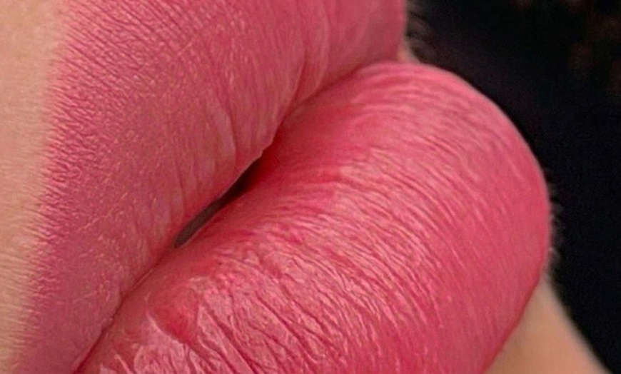 Image 3: Ombre Powder Brows or Lip Blushing Session