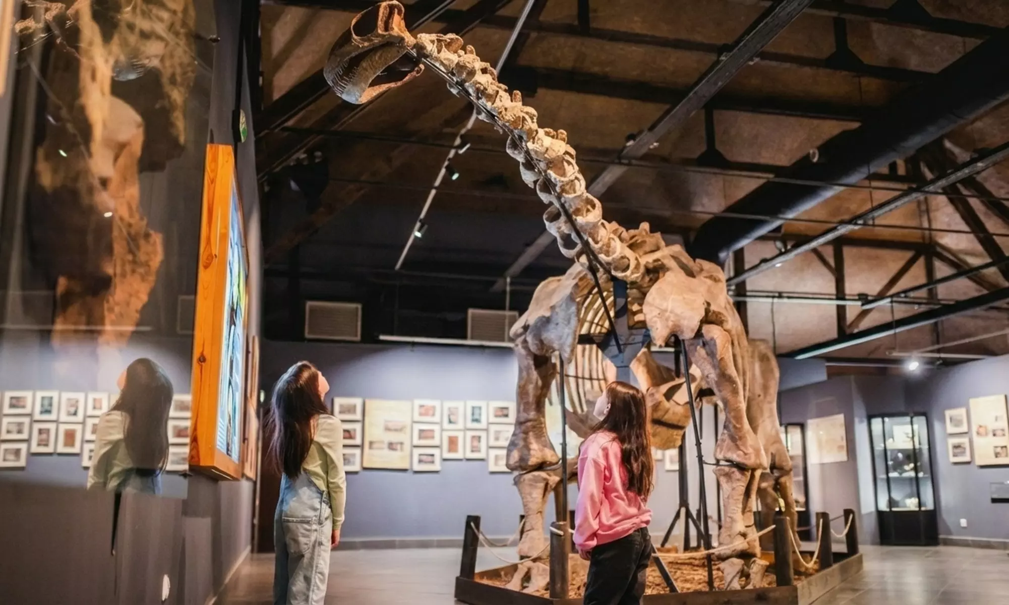 Bilety kompleksowe indywidualne i rodzinne do Jura Parku Solec