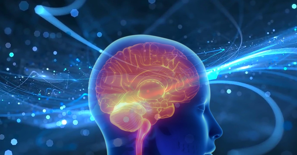 Kurs online: Doradca w zakresie neuropsychologii i neurobiologii