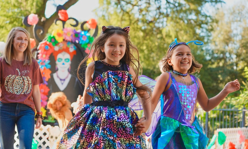 Image 2: San Antonio Zoo Discount Tickets & Savings!