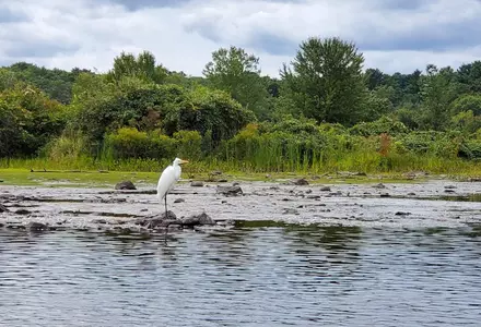 Cutler Park Reservation