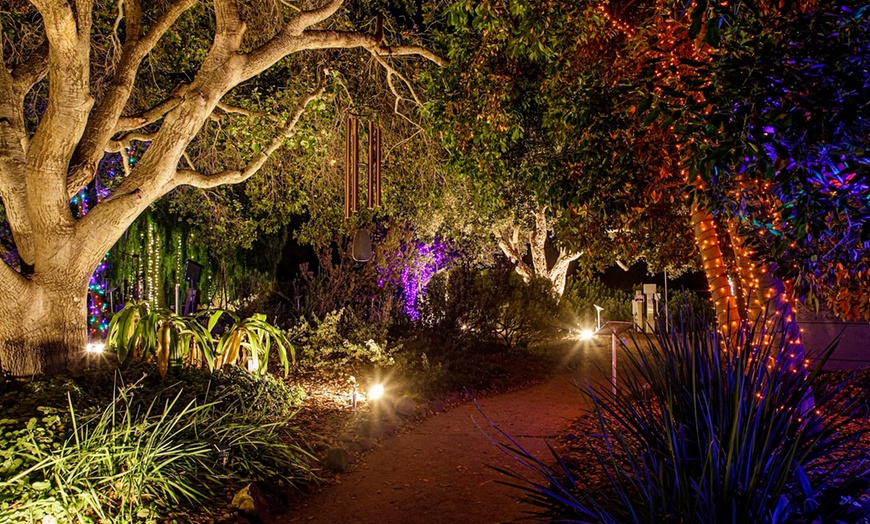 Image 5: Nature Lights: Immersive Outdoor Experience in San Luis Obispo