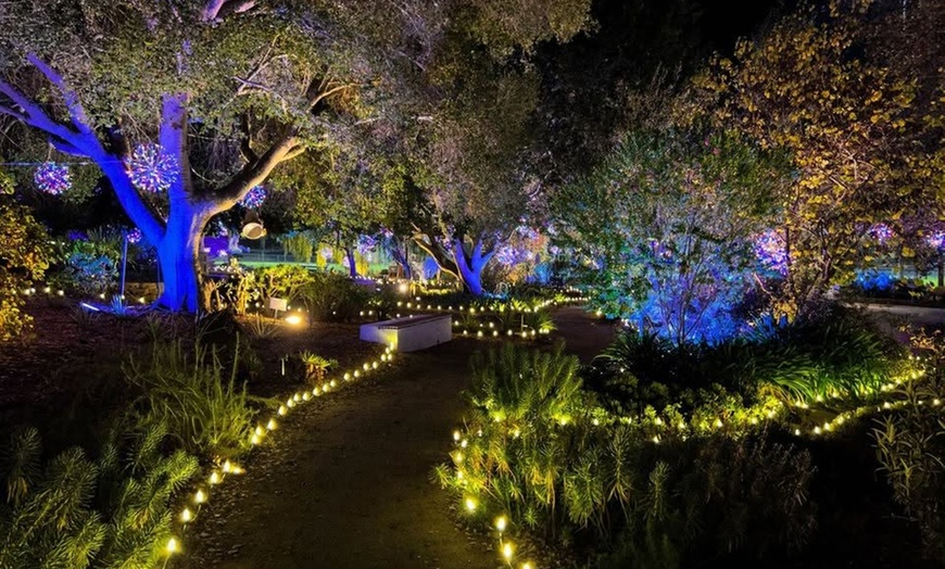 Image 2: Nature Lights: Immersive Outdoor Experience in San Luis Obispo