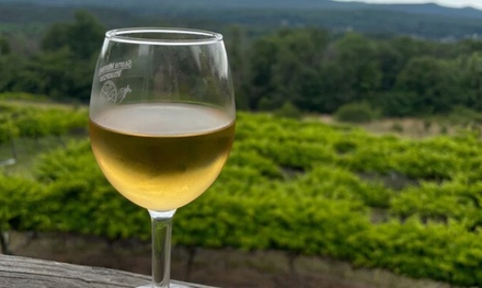 One Wine Tasting and One Glasses of Wine for One Person - Stony Mountain Vineyards