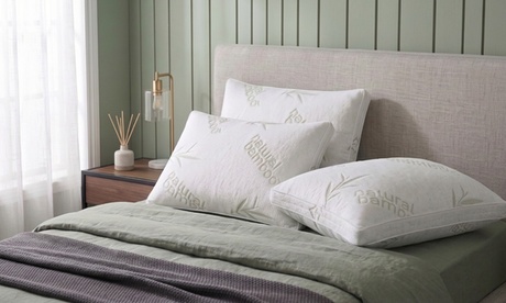 SAMPUR Set (x4) , Coussins en microfibre 40x70 cm housse en polyester bambou