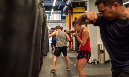 3 CKO Kickboxing Classes + Gloves - CKO Kickboxing - Jersey City