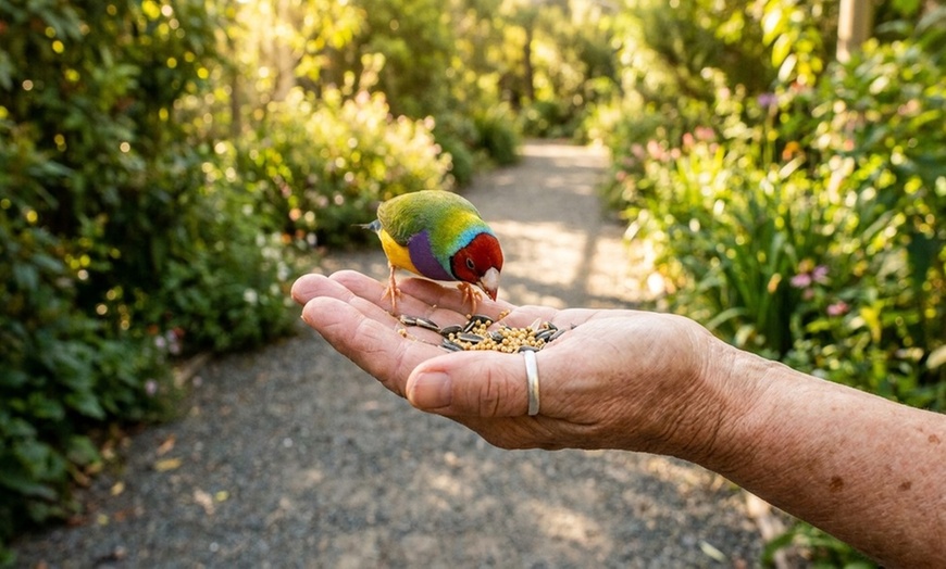Image 4: General Admission for Walking Tour at Santa Barbara Bird Sanctuary