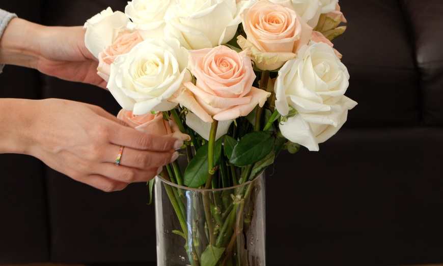 Image 13: *FLASH SALE* 24 or 36ct Roses Luxury Long Stem Rose Bouquet from Rose Farmers | Farm Fresh Roses (Up to 74% Off)
