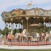 Image 16: Safari Niagara: Animal Encounters & Thrilling Adventures 
