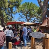 Image 3: Petting Zoo Admission Deals & Discounts