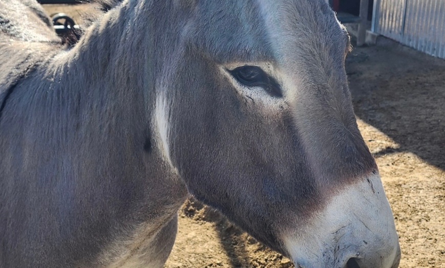 Image 21: Petting Zoo Admission Deals & Discounts