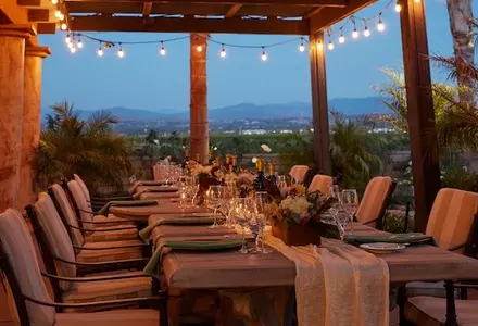 The Vineyard Grill