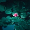 Image 1: Up to 20% Off on Yoga at Oracle Sound & Yoga