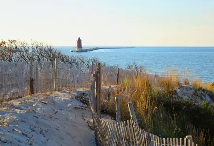 Cape Henlopen State Park