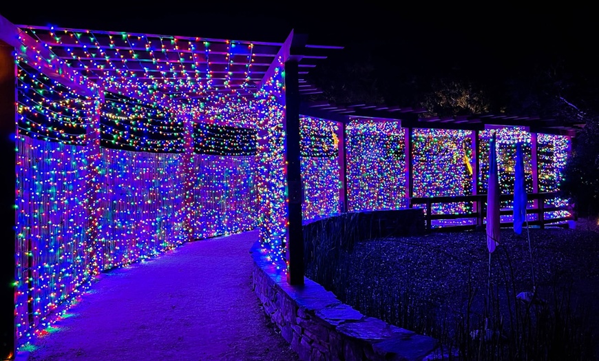 Image 4: Nature Lights: Immersive Outdoor Experience in San Luis Obispo