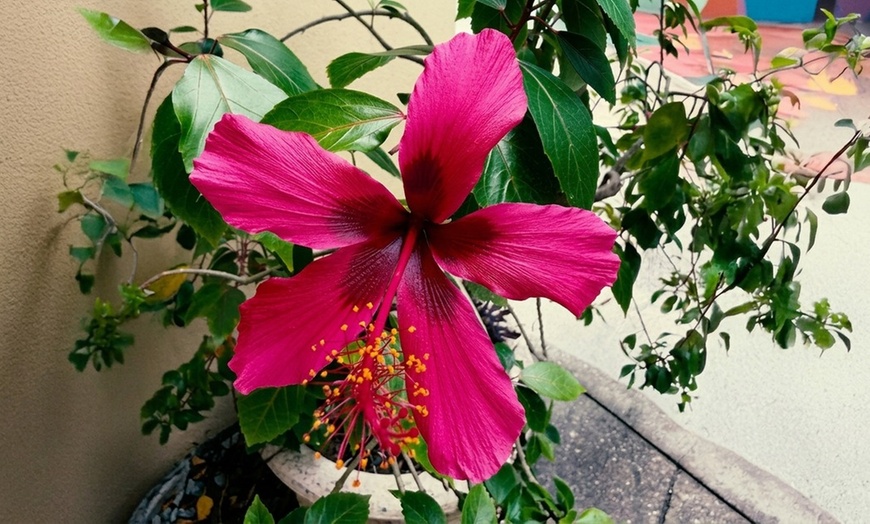 Image 11: Sunken Gardens Admission & Family Membership Deals (Up to 35% Off)