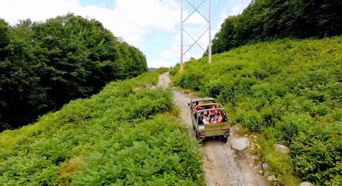 Alpine Adventures - Lincoln, NH - From $41 - Lincoln | Groupon