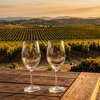 Image 8: Wine Tasting with Shareable Appetizer Plate for Two