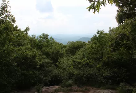 Springer Mountain (Appalachian Trail Southern Terminus)