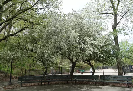 Inwood Hill Park