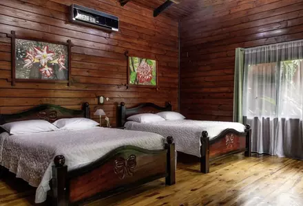Superior Two Queen Beds Cabana