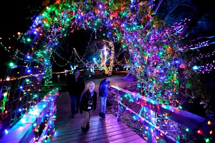 Nature Lights Admission - For 1 Youth (Ages 6-17) - San Luis Obispo Botanical Garden - San Luis Obispo, CA
