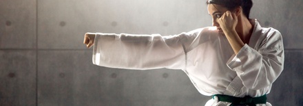 Single Martial Arts Class for Teen/Adults (13+) - Bear Dojo