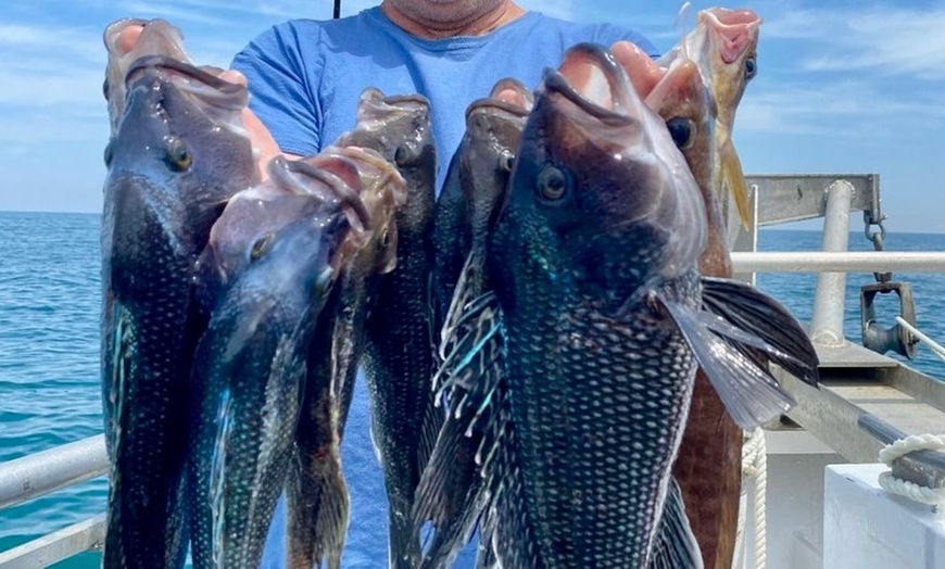 Image 3: One Afternoon Half-Day Fishing Charter for Up To 4 People!