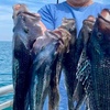 Image 3: One Afternoon Half-Day Fishing Charter for Up To 4 People!