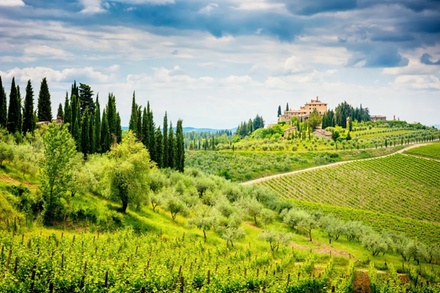 Option 1: New York (JFK): Depart on certain dates between 11/1/26-11/25/26 - ✈ Venice & Tuscany Wine Country: 8-Day Trip w/ Air from Great Value Vacations