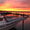 Image 1: 2-Hour Sunset Cruise with Whale & Dolphin Sightings — Jersey Shore