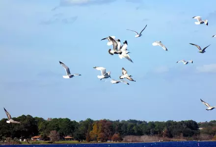 Bill Frederick Park at Turkey Lake