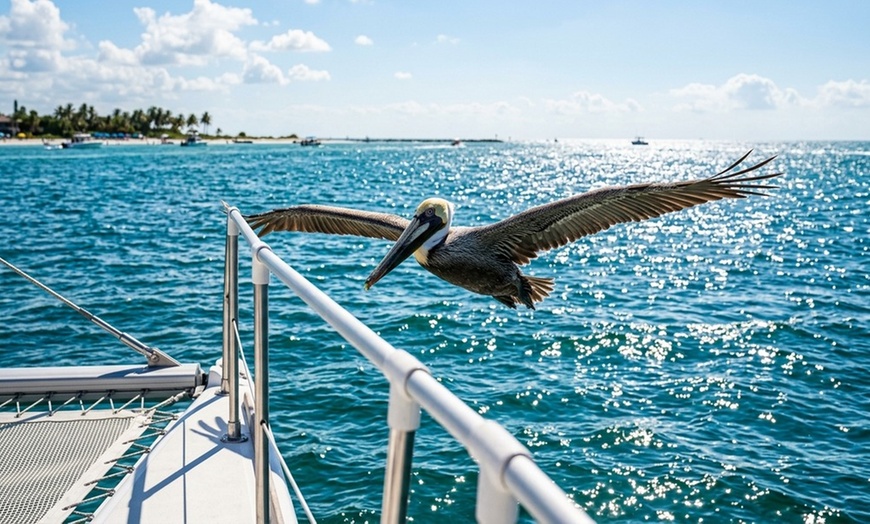 Image 4: Miss Naples Catamaran Cruise: Scenic Views of Naples Bay & Gulf