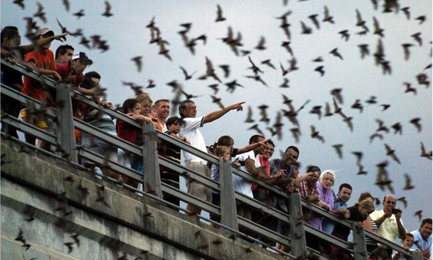 Image 2: 2.5-Hour Psycho Killers or Haunted Houston Tour for 2 or 4 People