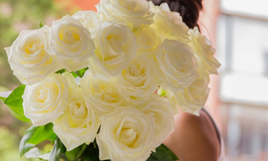 Image 27: *FLASH SALE* 24 or 36ct Roses Luxury Long Stem Rose Bouquet from Rose Farmers | Farm Fresh Roses (Up to 74% Off)