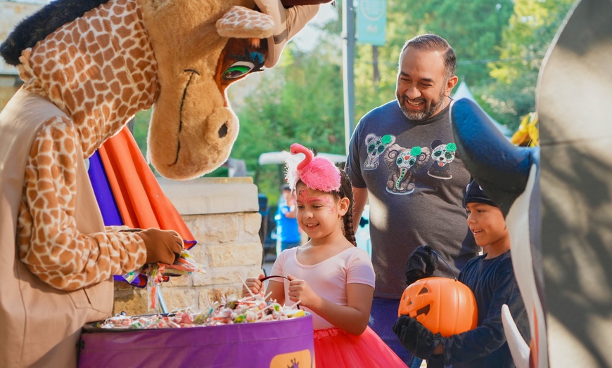 Image 4: San Antonio Zoo Discount Tickets & Savings!