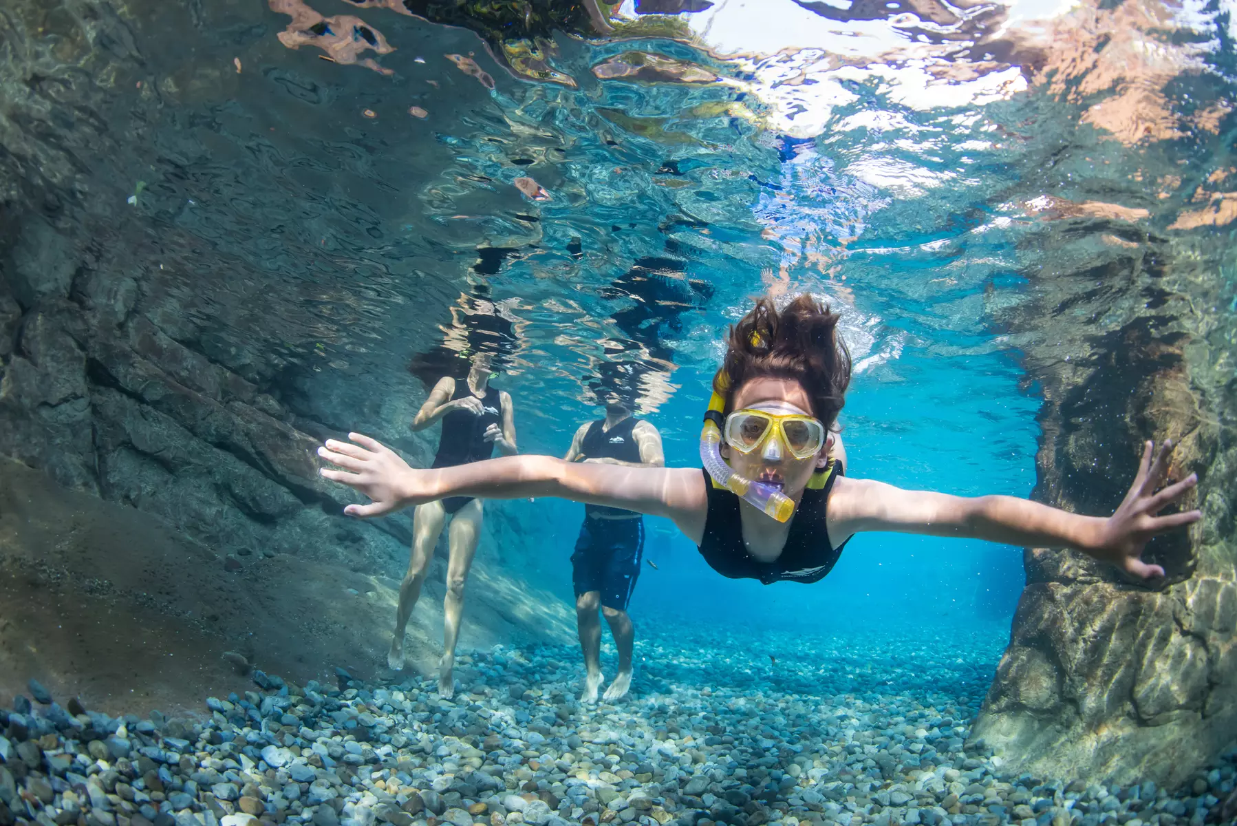 Experience Unforgettable Animal Encounters & All-Inclusive Luxury at Discovery Cove, Orlando's #1 Theme Park