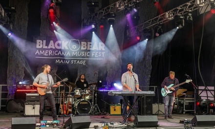 1-Day Festival Pass - Black Bear Music Festival