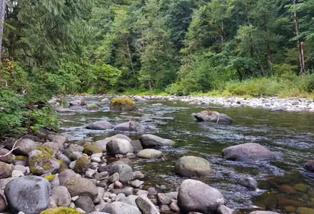 Wildwood Recreation Site