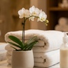 Image 2: 6 Laser Hair Removal Sessions on One Small, Medium or Large Area