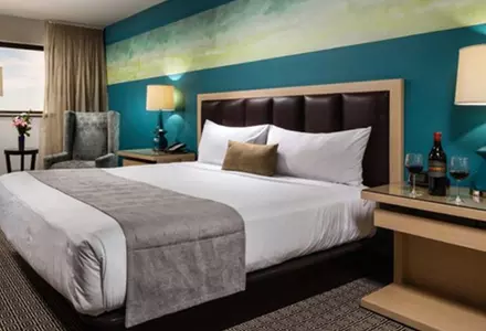 Deluxe King Room