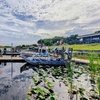 Image 6: Up to 28% Off – Everglades Airboat Tour