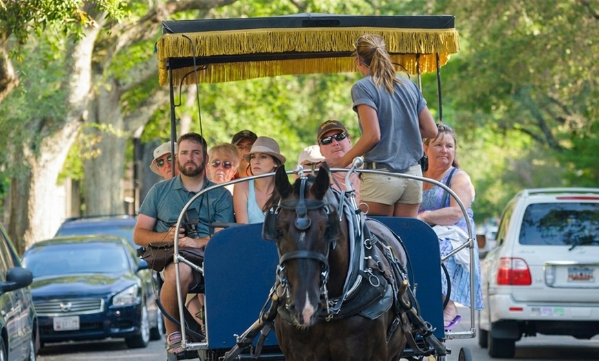 Image 2: Discover Charleston's Rich History with Carolina Polo's Exclusive Tour